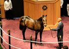 Hip 228, a Birdstone colt that sold for $400,000, was today's sale topper.