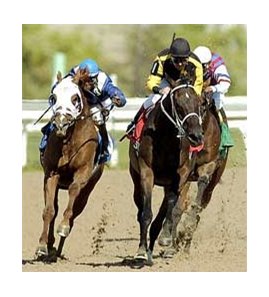 True Metropolitan, under Todd Kabel, wasn't going to be denied in Sunday's record-setting performance in the Dominion Day Stakes at Woodbine.