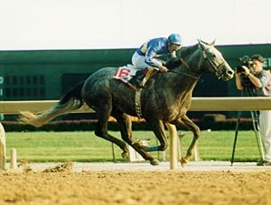 Canadian Champion Benburb Dead Canadian Champion Benburb Dead