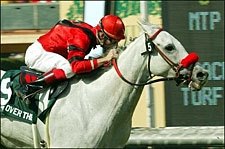 'Star' Heading for BC Turf after Hirsch Triumph 'Star' Heading for BC Turf after Hirsch Triumph