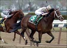 Funny Cide Can't Hold Off Surging West Virginia Funny Cide Can't Hold Off Surging West Virginia