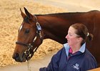 Dutch Art Filly Leads the Way at Tattersalls Dutch Art Filly Leads the Way at Tattersalls