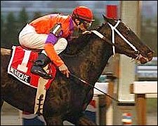 Asmussen, Megascape Click in Valley Stream Asmussen, Megascape Click in Valley Stream
