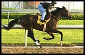 Steve Haskin's Derby Report (4/29): Morning Madness Steve Haskin's Derby Report (4/29): Morning Madness