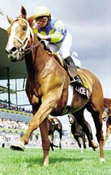 Scatter the Gold Denied in Breeders' Stakes Scatter the Gold Denied in Breeders' Stakes