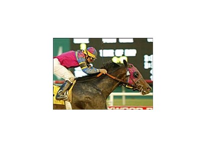 Hollywood Story and Patrick Valenzuela win the Hollywood Starlet Stakes, Sunday at Hollywood Park.