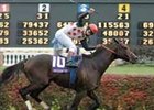 Miesque's Approval top male turf horse of 2006.<br><a target="blank" href="http://www.bloodhorse.com/horse-racing/photo-store?ref=http%3A%2F%2Fpictopia.com%2Fperl%2Fgal%3Fprovider_id%3D368%26ptp_photo_id%3D634007%26ref%3Dstory">Order This Photo</a>