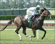 After Market Wins Lexington, Stays Unbeaten After Market Wins Lexington, Stays Unbeaten
