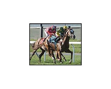 Dogwood Stable's Finality has won four of five starts on turf.