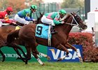 Flying Circle flies to victory in the Mariah's Storm.