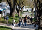Tiznow Colt Tops Keeneland's Saturday Session Tiznow Colt Tops Keeneland's Saturday Session