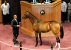 F-T July Drops, But 'Medaglia' Fillies Shine F-T July Drops, But 'Medaglia' Fillies Shine