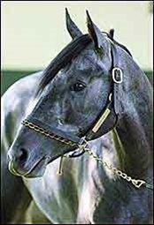 Odds-On Favorites Are Good Bet in Derby Odds-On Favorites Are Good Bet in Derby
