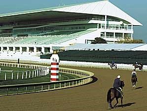 Arlington '08: 27 Stakes, $5.5 M Arlington '08: 27 Stakes, $5.5 M