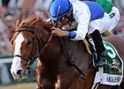 Shackleford<br><a target="blank" href="http://www.bloodhorse.com/horse-racing/photo-store?ref=http%3A%2F%2Fpictopia.com%2Fperl%2Fgal%3Fprovider_id%3D368%26ptp_photo_id%3D9533634%26ref%3Dstory">Order This Photo</a>