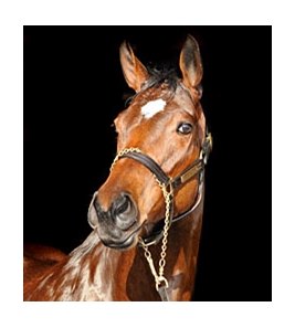 Havre de Grace