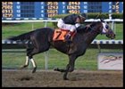 Repent, winning the Risen Star at Fair Grounds.
