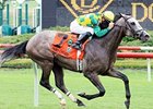 Paddy O'Prado Too Tough In Va. Derby Paddy O'Prado Too Tough In Va. Derby