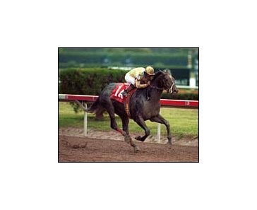 Monarchos was an impressive winner of the 2001 Florida Derby.