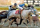 The venerable Evening Attire won the Stuyvesant in 2005.