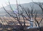 Wildfire Causes Little Damage at Ruidoso Wildfire Causes Little Damage at Ruidoso