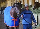 Uncle Mo arrived in New York on Wednesday, April 6, ready for the Wood Memorial.<br><a target="blank" href="http://www.bloodhorse.com/horse-racing/photo-store?ref=http%3A%2F%2Fpictopia.com%2Fperl%2Fgal%3Fprovider_id%3D368%26ptp_photo_id%3D9478824%26ref%3Dstory">Order This Photo</a>