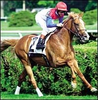 Millionaire Hap Retired Millionaire Hap Retired