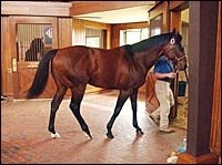 Elusive Quality's Fee Raised to $100,000 Elusive Quality's Fee Raised to $100,000