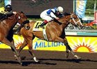 Hot Storm hopes to blow through Florida with same force as last year in California side of Sunshine Millions set.