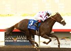 Lemon Chiffon Has Upset Chance in Gamely Lemon Chiffon Has Upset Chance in Gamely