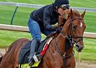 Far Right Set for 2016 Debut at Oaklawn Park Far Right Set for 2016 Debut at Oaklawn Park