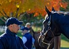 Keeneland Market Rises Dramatically Keeneland Market Rises Dramatically