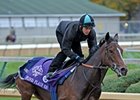 Flood Plain has some upside at 20-1. <br><a target="blank" href="http://www.bloodhorse.com/horse-racing/photo-store?ref=http%3A%2F%2Fpictopia.com%2Fperl%2Fgal%3Fprovider_id%3D368%26ptp_photo_id%3D9265339%26ref%3Dstory">Order This Photo</a>