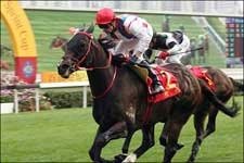 Scintillation Wins Centenary Sprint Cup; Silent Witness 9th Scintillation Wins Centenary Sprint Cup; Silent Witness 9th