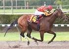 Wiegelia's win in the Ponche Handicap was one of his eight stakes victories.