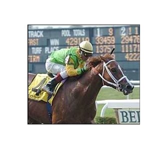 Take D' Tour blew away the field in the Ogden Phipps at Belmont Park in June.<br><a target="blank" href="http://www.bloodhorse.com/horse-racing/photo-store?ref=http%3A%2F%2Fpictopia.com%2Fperl%2Fgal%3Fgallery_id%3D6823%26process%3Dgallery%26provider_id%3D368%26ptp_photo_id%3D453358%26sequencenum%3D12%26page%3D">Order This Photo</a>