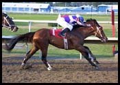 Steve Haskin's Derby Report: Not So Easy For 'Gitgo' Steve Haskin's Derby Report: Not So Easy For 'Gitgo'
