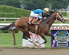 Seven Entered for Travers; Purge is Morning Line Favorite Seven Entered for Travers; Purge is Morning Line Favorite