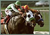 Baffert To Saddle Five for Futurity Baffert To Saddle Five for Futurity