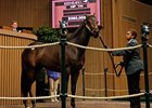 Porter Buys Speightstown Colt for $560,000 Porter Buys Speightstown Colt for $560,000