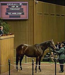 Roar Emotion Brings $2.4 Million Roar Emotion Brings $2.4 Million