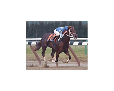 Smarty Jones, the "Philly Phenom" winning the Count Fleet Stakes.