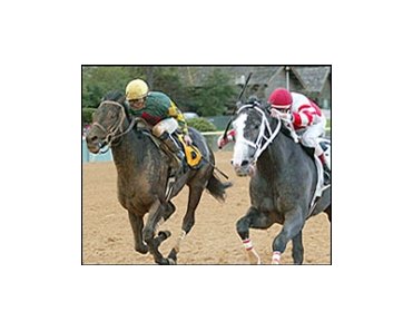 Greater Good beats Rockport Harbor in the Rebel Stakes.