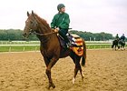 Ibn Bey prepping for the 1990 Breeders' Cup Classic.
<br><a target="blank" href="http://photos.bloodhorse.com/Classics/Classic-Photos/22651042_hrMBZZ#!i=2277941419&k=Gg2khDH">Order This Photo</a>