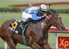 Holy Bull winner Second of June has been euthanized following a training injury suffered Wednesday morning.
