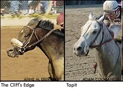 Tapit, Cliff Out of Belmont; Purge, Master David May Join Field Tapit, Cliff Out of Belmont; Purge, Master David May Join Field