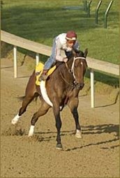 No Decision on Eye of the Tiger After Workout No Decision on Eye of the Tiger After Workout