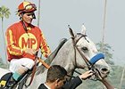 Preachinatthebar after his biggest win, the San Felipe (gr. II)