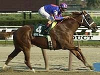 Left Bank Sizzles in Discovery Handicap Left Bank Sizzles in Discovery Handicap