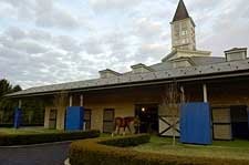 Ashford Announces 2008 Stud Fees Ashford Announces 2008 Stud Fees